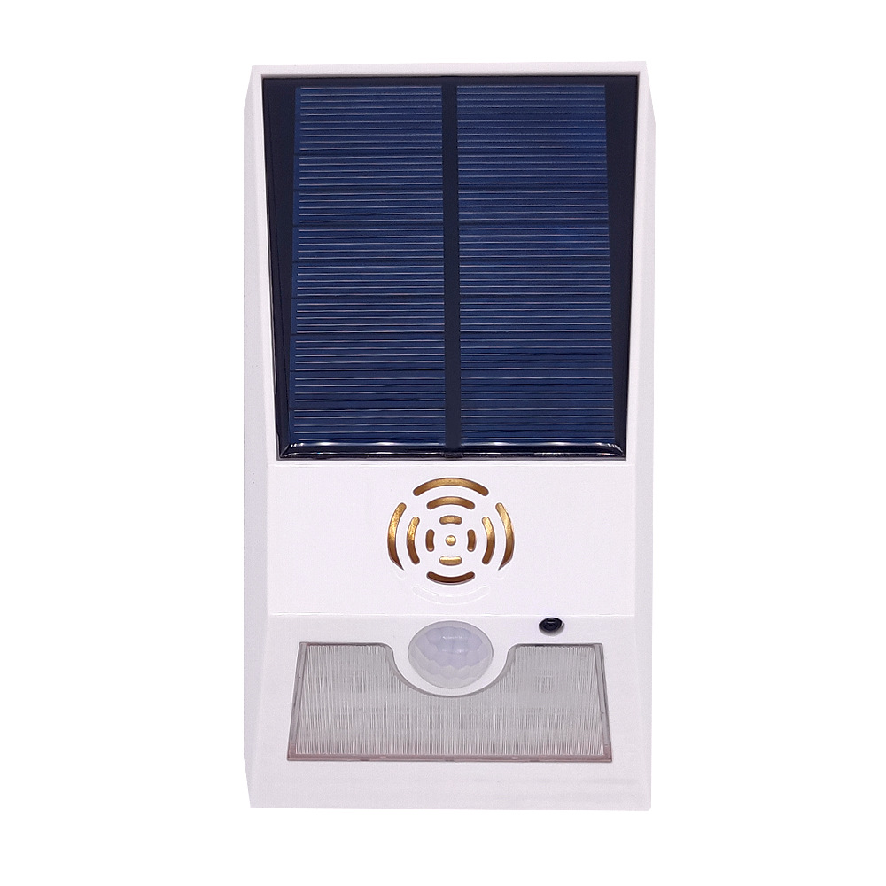 Multifunctional Solar Alarm Li - Pir Motion Sensor review and price